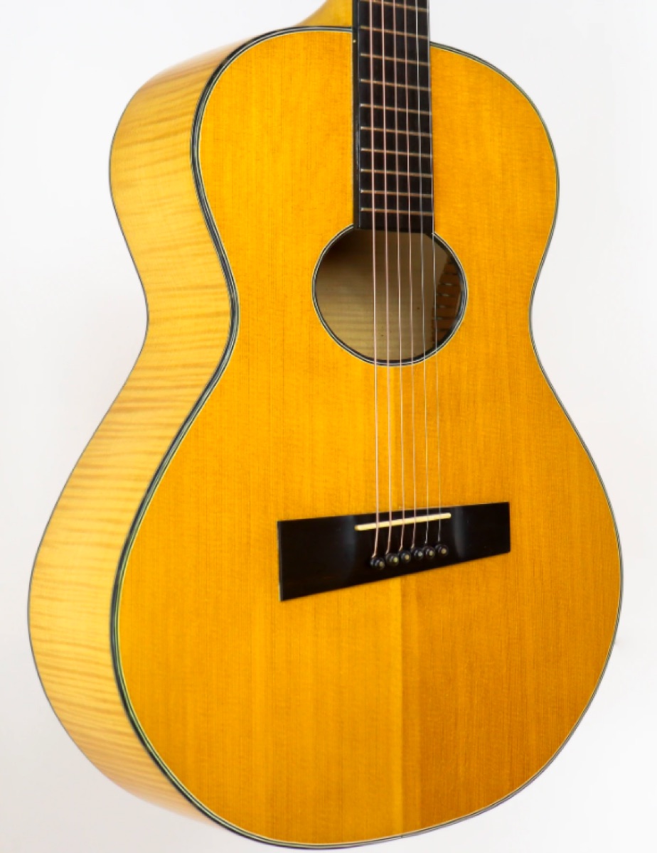 1981 D'Aquisto Spring Song Flattop instrument photograph