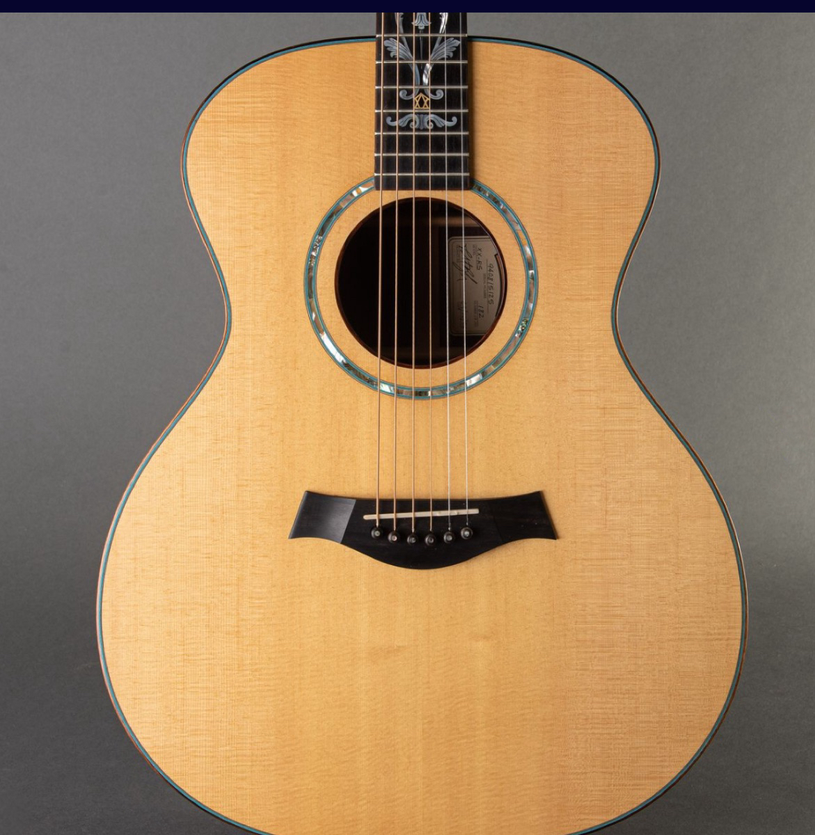1994 Taylor XX-MC 20th Anniversary instrument photograph
