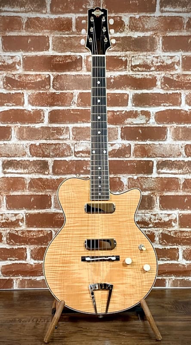2013 Yanuziello Electric instrument photograph